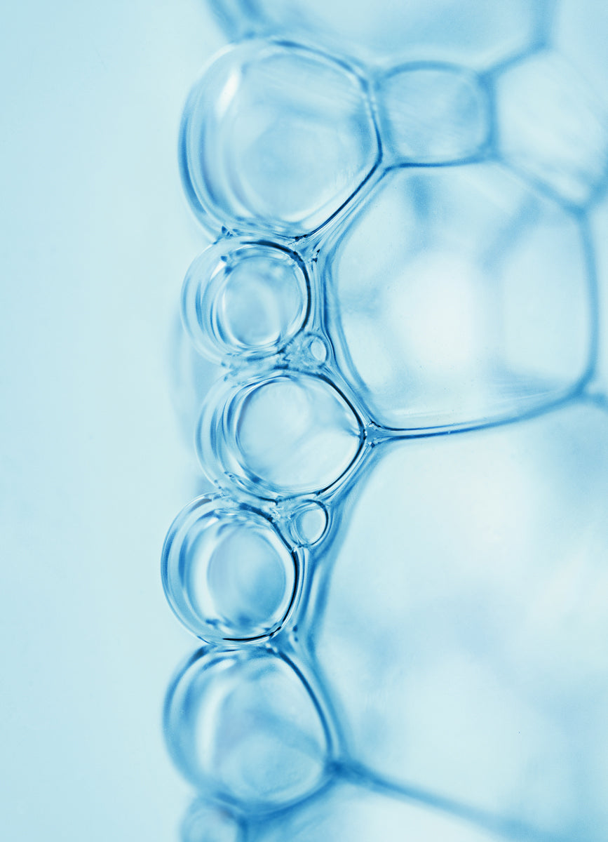 Ceramides